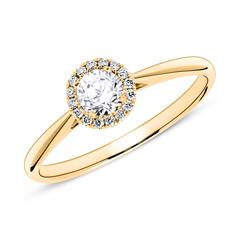 🦚 Haloring aus 585er Gold mit Brillanten