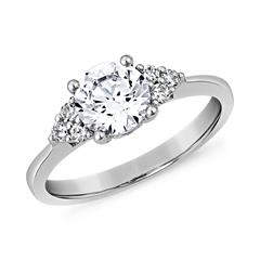 🦚 Weißgold oder Platin Ring mit lab grown Diamanten