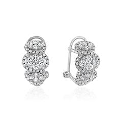🦚 Ohrschmuck aus Weißgold oder Platin mit Brillanten, Lab