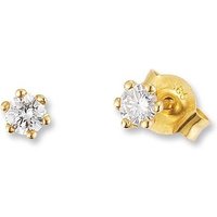 Ohrschmuck von Palido F1313G