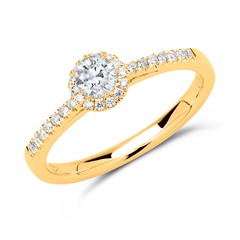 🦚 585er Gold Halo-Ring mit Diamanten