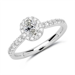 🦚 Halo Ring 750er Weißgold mit Diamanten Unkategorisiert online kaufen
